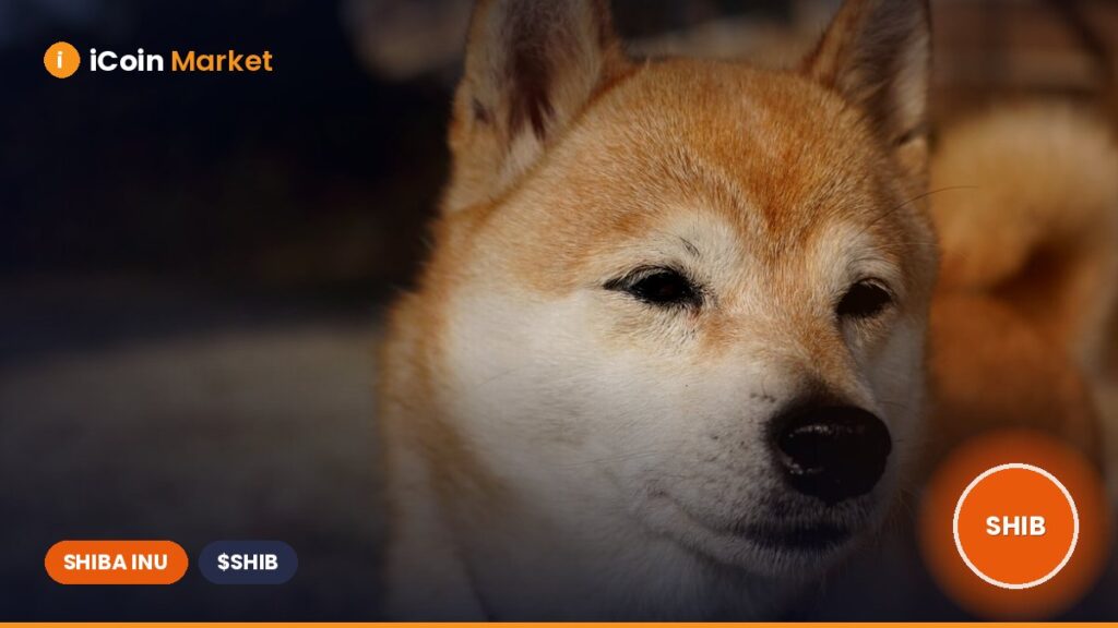 Shiba Inu DEX ShibaSwap Unveils New Upgrade to Enhance SHIB Ecosystem Shiba Inu DEX ShibaSwap Unveils New Upgrade to Enhance SHIB Ecosystem