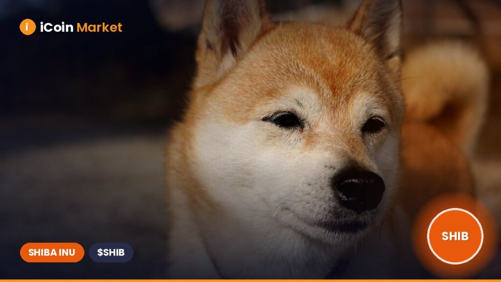 Shiba Inu Dips: Will This Key Support Level Spark a SHIB Rally?