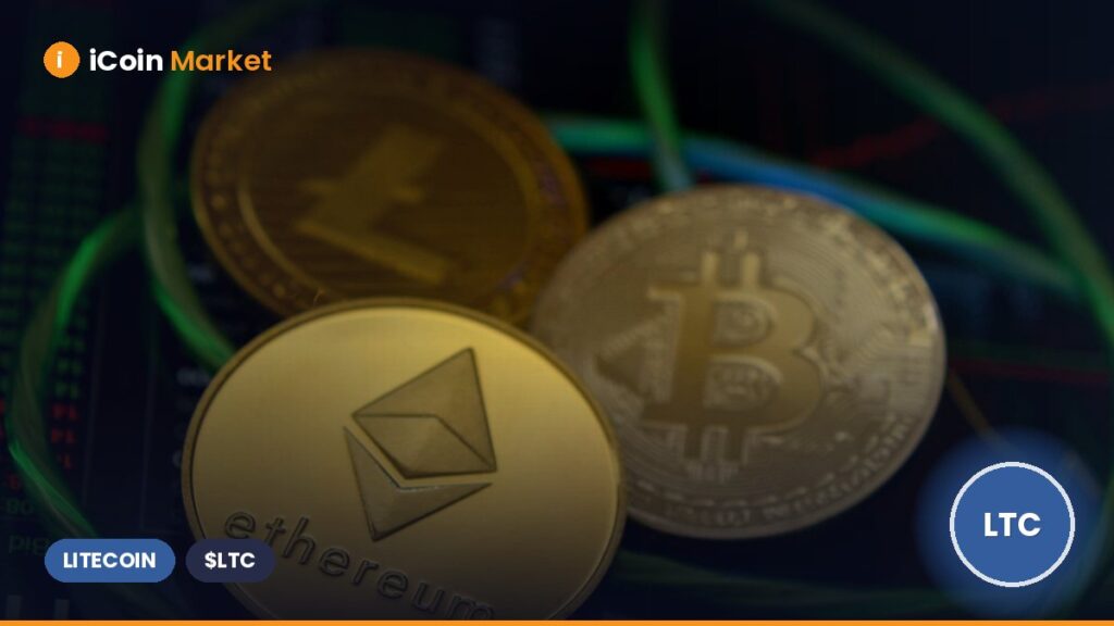 Why Is the Approval of the Canary Litecoin ETF by the US SEC This Week Critical for the Crypto Market?