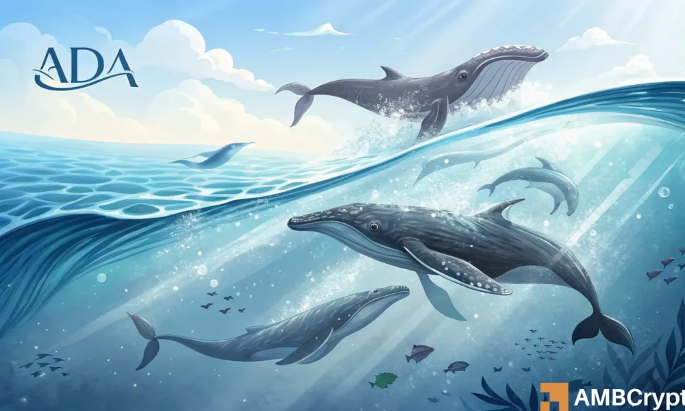 Cardano Price Forecast: Whales Unlikely to Propel ADA’s Price Higher Anytime Soon!