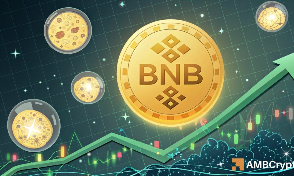 Binance Coin: Bulls, Pay Attention to These 2 Levels Before BNB’s Breakout Attempt