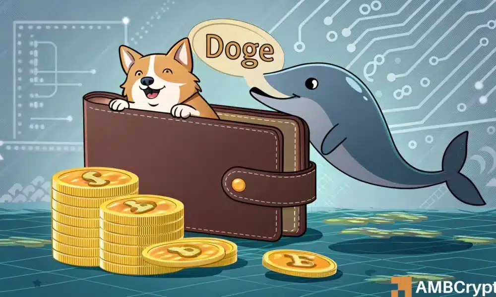 Dogecoin Whale Takes Action with $2.9 Million Move: Is This the Turning Point for DOGE?