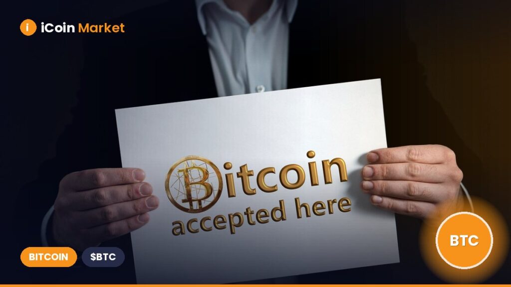 Bitcoin ETFs Surge Fuels Rally, but $10B Profits from Whales Raise Caution – Details Bitcoin ETFs Surge Fuels Rally, but $10B Profits from Whales Raise Caution – Details