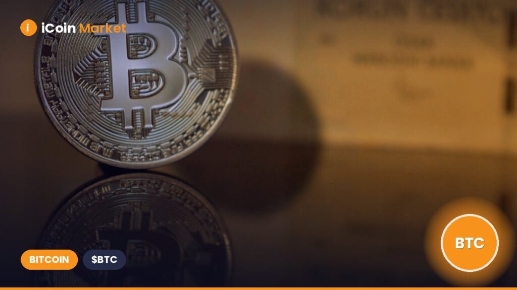 Bitwise Forecasts Record Bitcoin ETF Inflows in Q4 as ‘Debasement Trade’ Begins