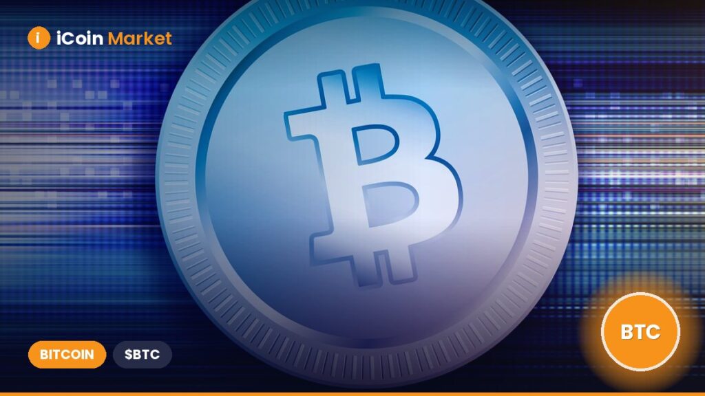 Can $102.5 Million in New Bitcoin Purchases Trigger a BTC Price Recovery?