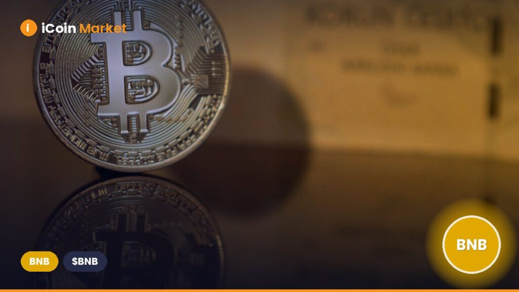Expert Predicts BNB Rally to $1,300 Will Persist as Binance Reaches Key Q3 Milestone