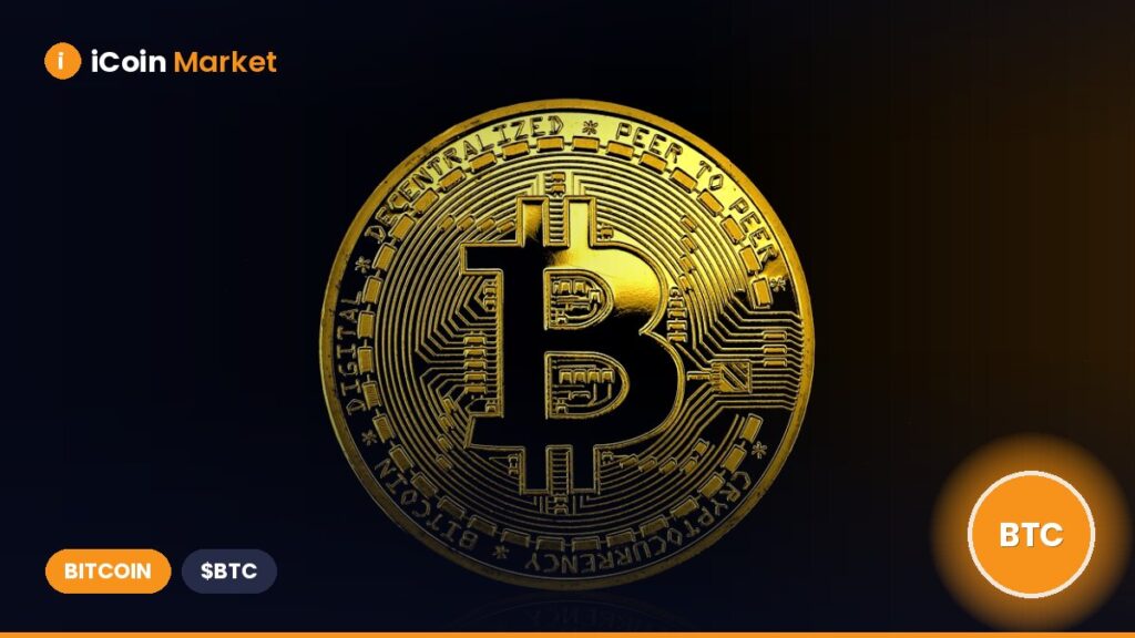 Should Bitcoin Bears Brace for a Possible Short Squeeze Soon?