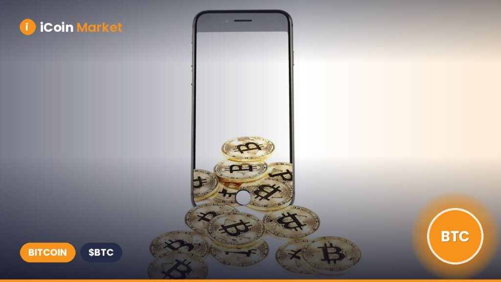 ‘The 4-Year Cycle is Over, Long Live the King’: K33 Declares Bitcoin’s New Era Defies All Previous Norms