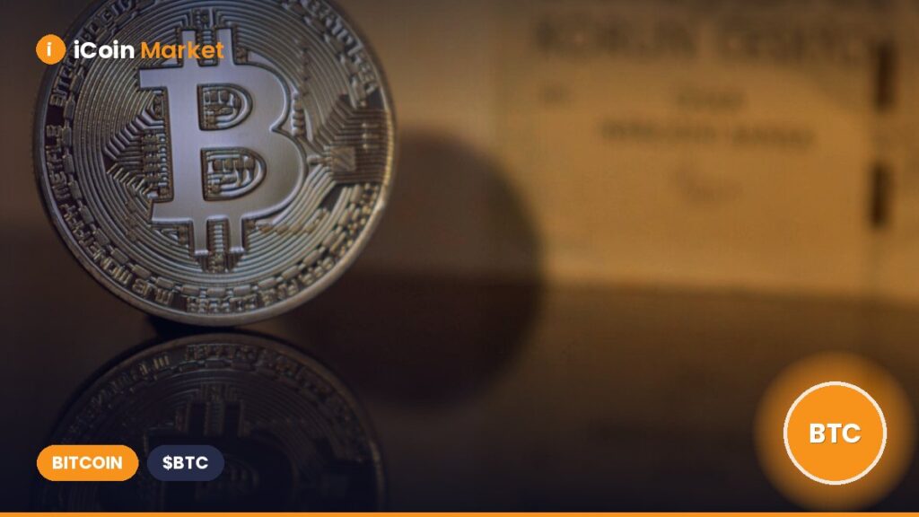 Trump Insider Whale Places $127M Bet Against Bitcoin Ahead of Trump’s Major Announcement – Is Another Crypto Crash on the Horizon?