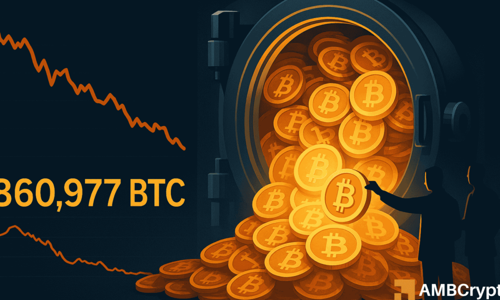 Bitcoin Treasuries Acquire 18.7K BTC in November as Institutions Capitalize on the Dip
