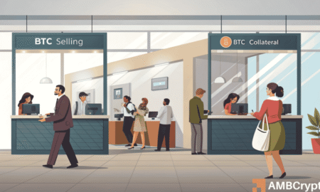 Bitcoin Holders Divided as Prices Drop: Sellers vs. Borrowers