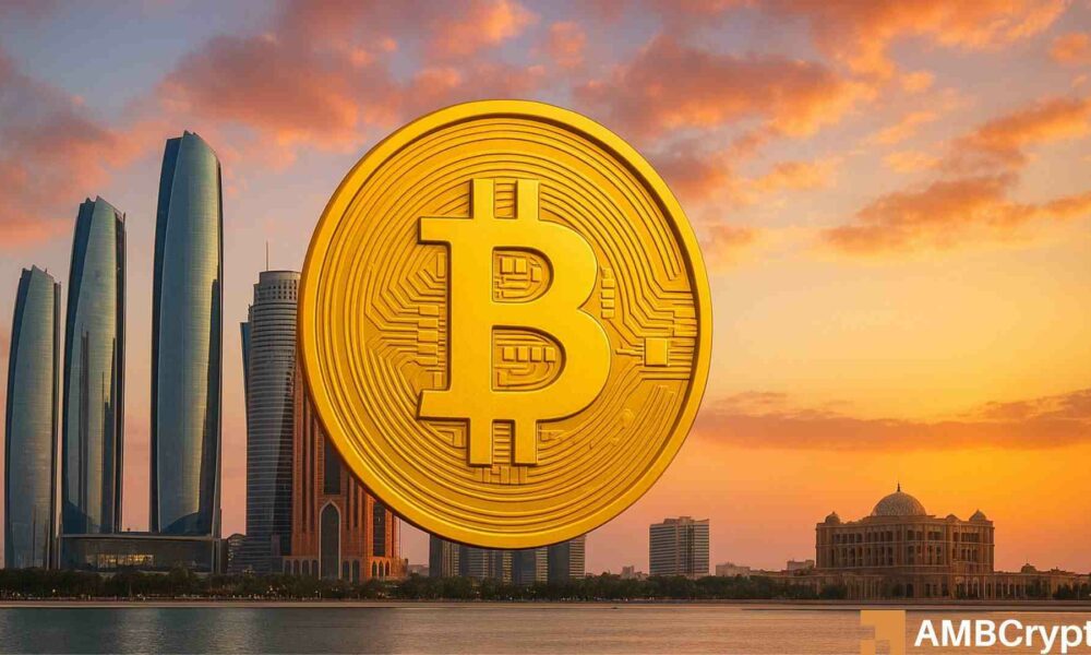 UAE Sparks ‘Gold Replacement’ Debate with $518 Million Bitcoin Transaction: What’s Next?
