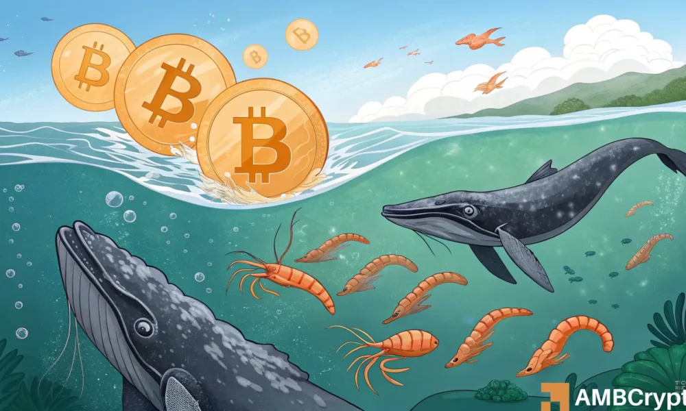 From 450 BTC to 92 BTC: Examining the Sharp Decline in Bitcoin Retail Inflows