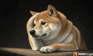 Dogecoin: Reasons a 20% Price Correction Might Be on the Horizon