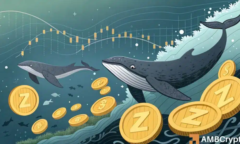 ZEC Whales Aim for $803: How a $1.25 Million Profit Indicates New Demand