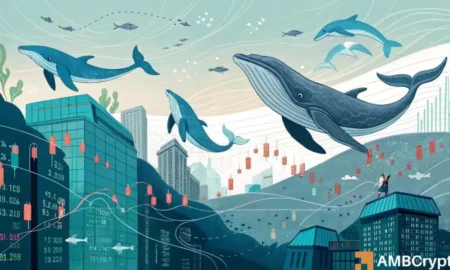 Analyzing Monad’s Post-Mainnet Surge: Are We Just One Dip Away from a Drop?