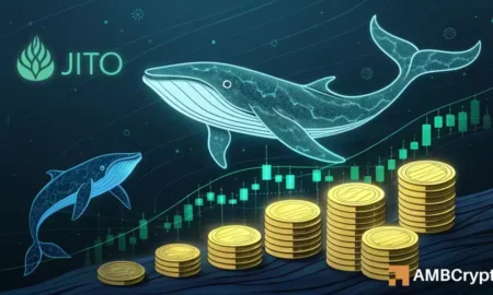 Jito Prices Fall, But JTO Whales Are Stealthily Acquiring More — Here’s Why