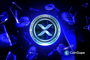 Revealed: The Top XRP Wealth Rankings for November 2025 – Who Holds the Most?