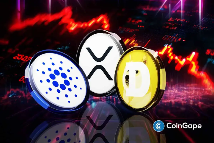 What Is the Lowest These Altcoins Could Fall To Next?