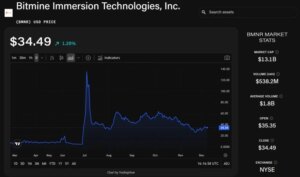 BitMine Reports $13.2 Billion in Holdings as ETH Treasury Grows After November Slowdown