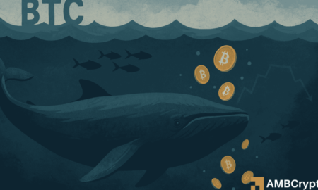 Bitcoin Whales Take Advantage of Price Dips as Retail Selling Increases