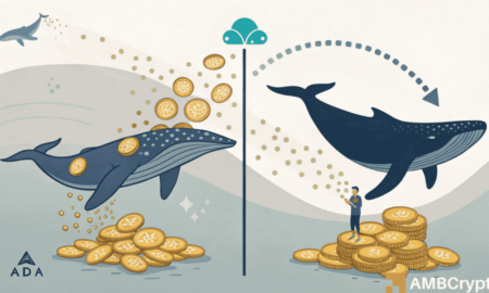 Cardano Whales Are Accumulating While Retail Investors Sell Off—Is a Major ADA Reversal Coming?