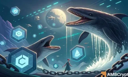 Chainlink Whale Acquires 1.62 Million LINK for $22.01 Million