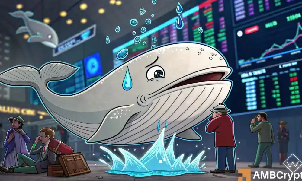 Hyperliquid Whale Faces $22 Million Floating Loss