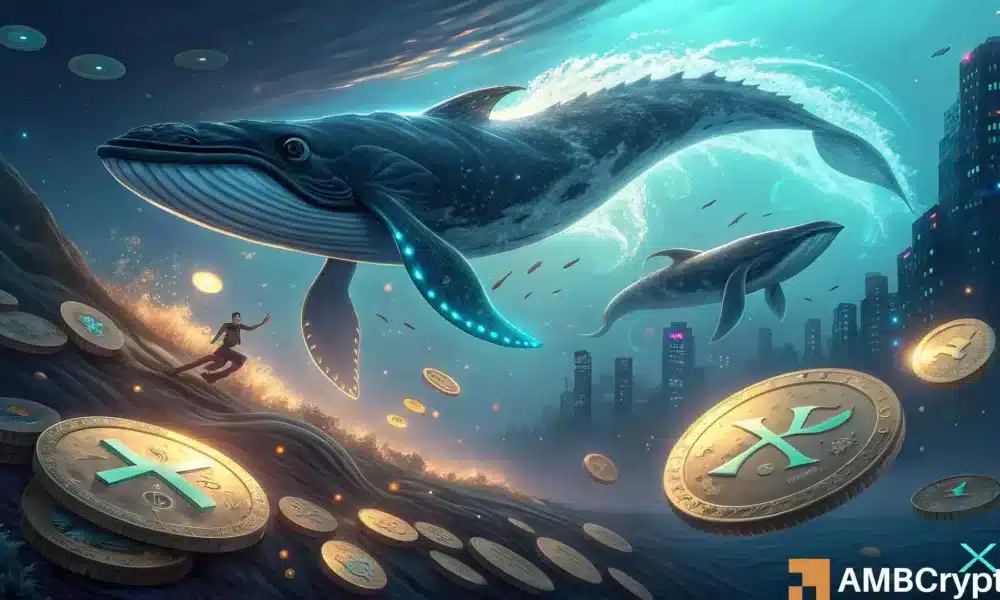 XRP Whale Demand Reaches 7-Year Highs – Why Does the Price Still Seem Vulnerable?