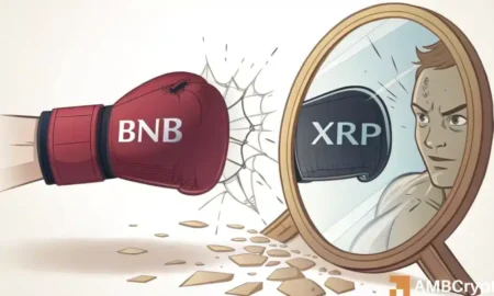Analyzing BNB’s Resilience as XRP Drops in High-Cap Rankings