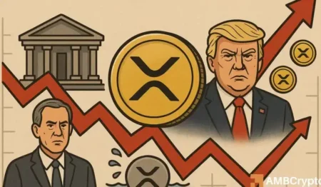 XRP 2025 Overview: Trump’s Re-Election, SEC Lawsuit, and More…