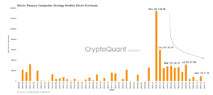 CryptoQuant Reports Strategy Readies for Bitcoin Bear Market by Establishing US Dollar Reserves