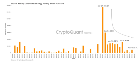 CryptoQuant Reports Strategy Readies for Bitcoin Bear Market by Establishing US Dollar Reserves