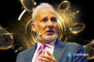 Peter Schiff Claims Bitcoin Prices Will Never Increase