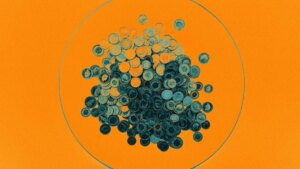 Doppler, a Token Creation Platform, Secures $9 Million in Seed Funding Led by Pantera Capital