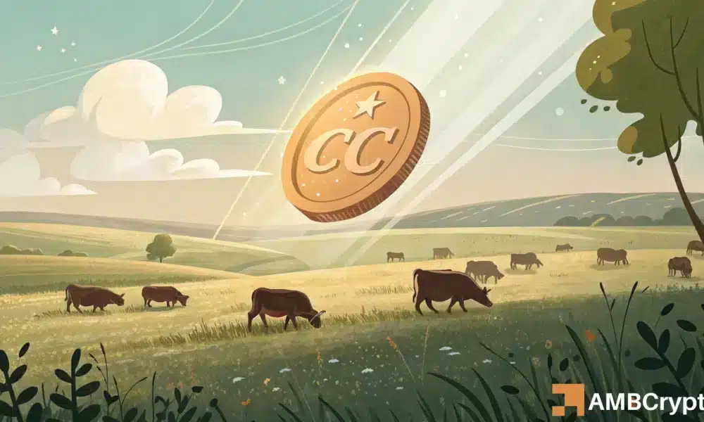 CC Surges 14%, but Binance Traders Anticipate a Short-Term Pullback