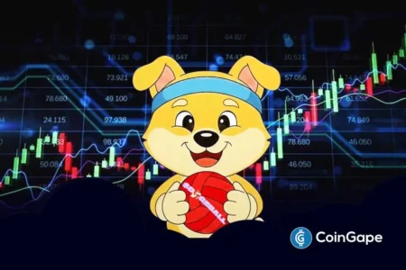 Dogeball ICO Launches January 2, Preceding 2026 Roadmap