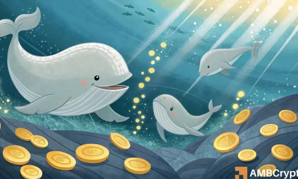 Lighter Prices Rise 15% – Can a $6.25M Whale Purchase Propel LIT to $4?
