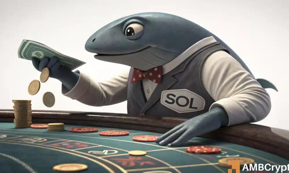Solana Whales in Action: Is It Manipulation or Real Commitment?