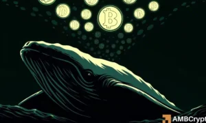 Bitcoin: Whales Accumulate 56K BTC While Smaller Holders Sell – Who’s on the Right Side This Time?