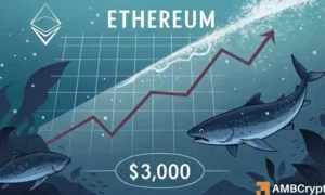 Ethereum Falls Below $3,000: Why Are Whales Secretly Buying the Dip?