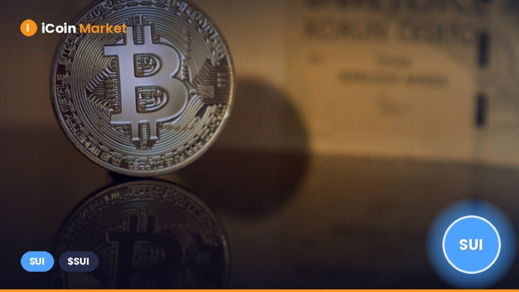 Sui Network Experiences Outage as Mainnet Halts; SUI Price Stays Unchanged