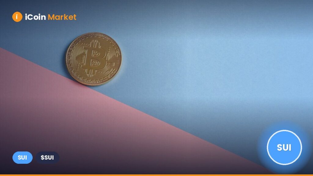 Why is the SUI Price Rising Today (January 6)?