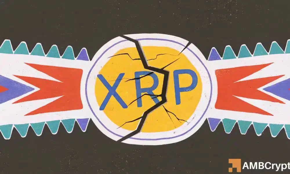 XRP Holders Reach New High, But THIS Continues to Pressure Prices