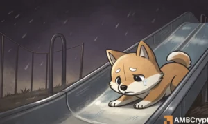 BONK Falls 18% as Memecoins Decline – Is Another Drop Ahead?