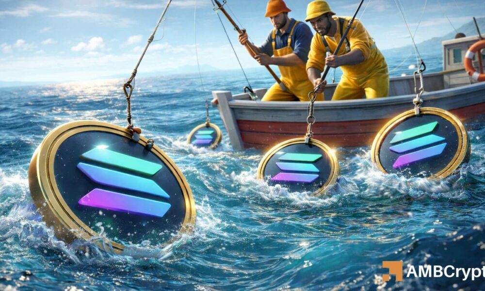 Liquidity Surge Boosts Solana as SOL regains EMA Ribbon, Reaching $85 – Overview