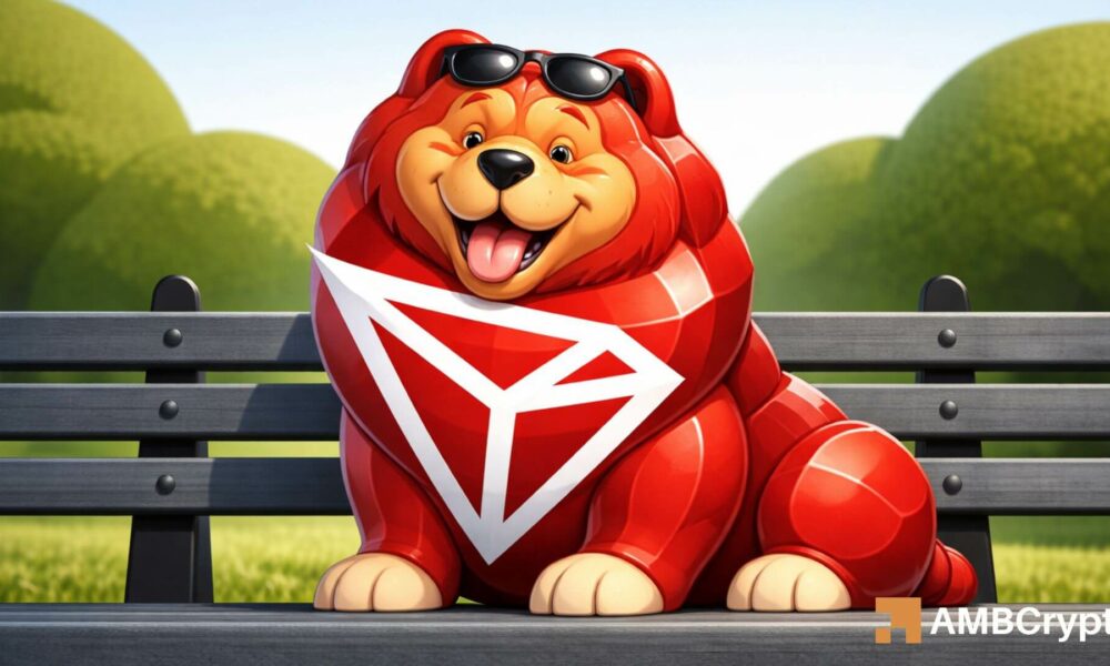 Why TRON is Poised for $0.45 Despite Market Slowdown