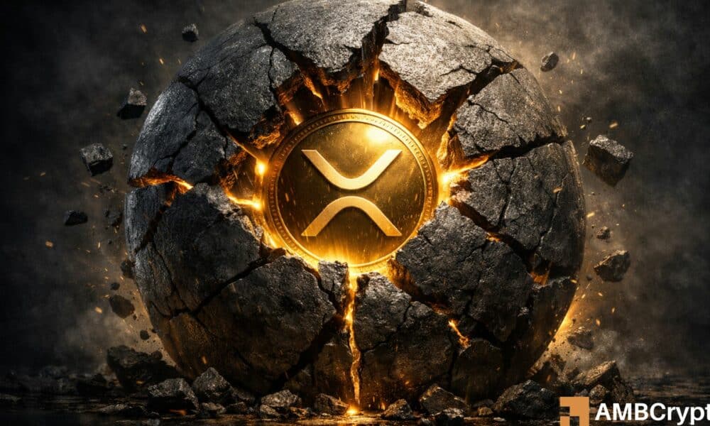 XRP: Panic Selling Slows as Institutions Take on Supply—Is a Recovery Ahead?