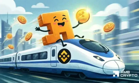 Is On-Chain Throughput Now Defining the Market Maturity of RLUSD?