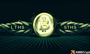 Bitcoin: Why Veteran Investors Overlook the $68K Halt as Short-Term Holders Become Anxious